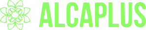 MCA
